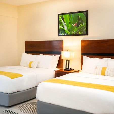 The West House Boutique Hotel 산 이그나시오 외부 사진